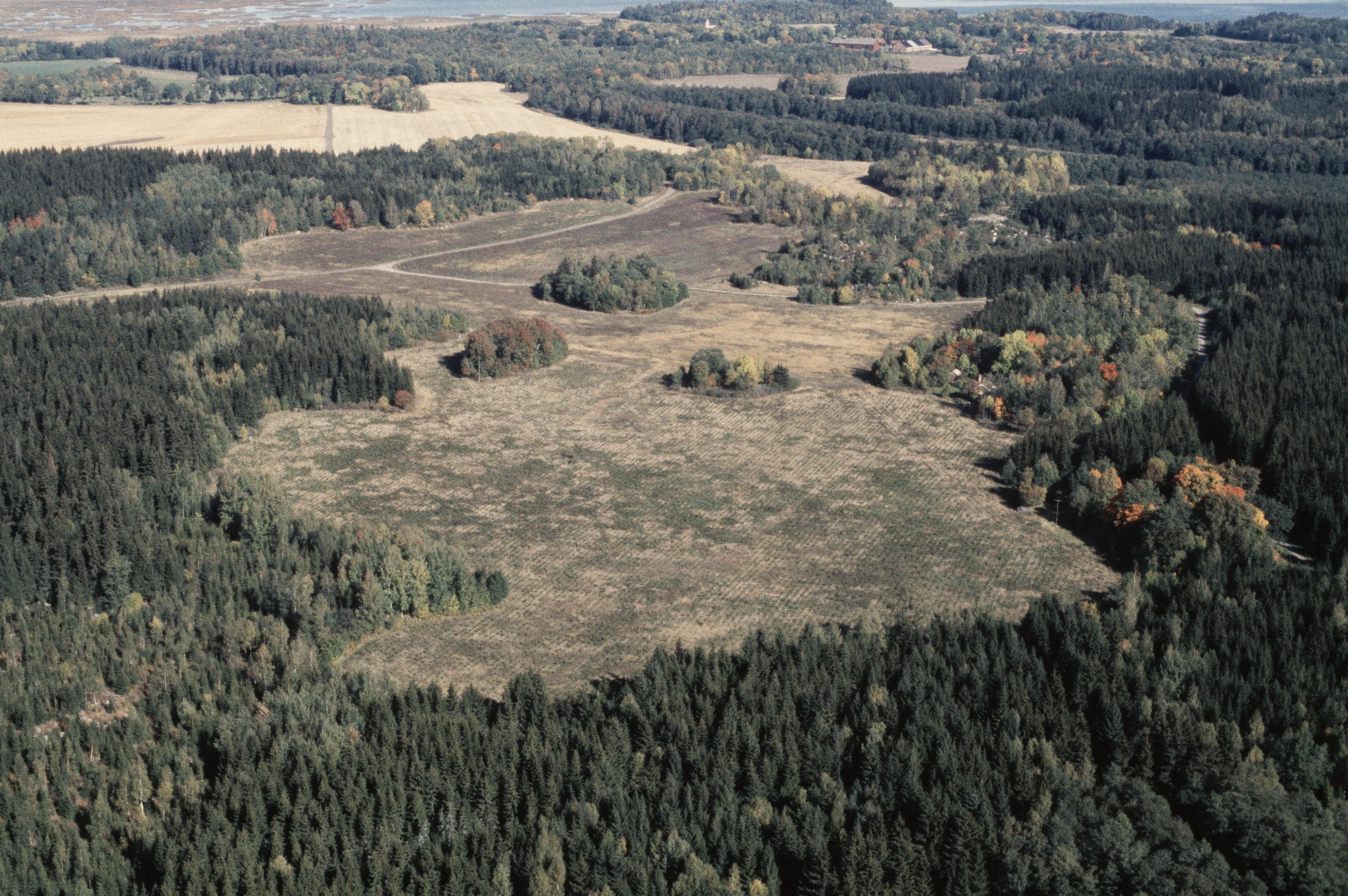 Jan Norrman, Rytterne 113:1