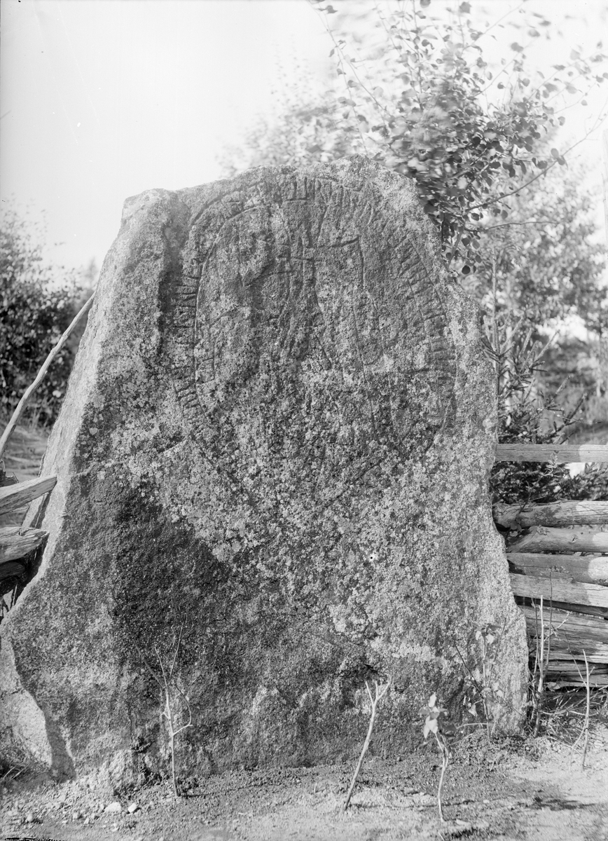 Henri Osti's Fotografiateliér, Runsten U1016 i Fjuckby, Ärentuna socken, Uppland 1897