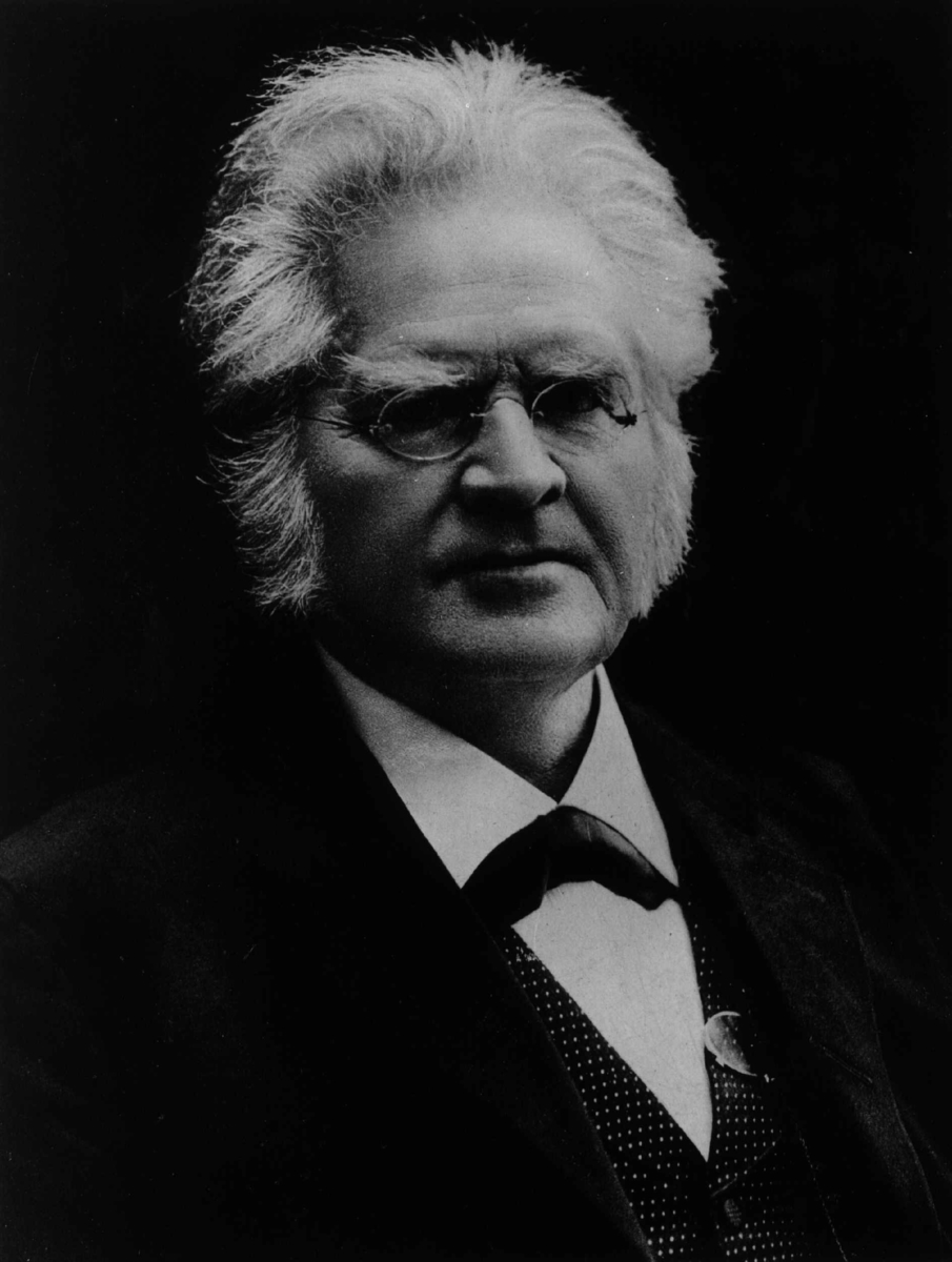 Anders Beer Wilse, Portrett, Bjørnstjerne Bjørnson (1832-1910).