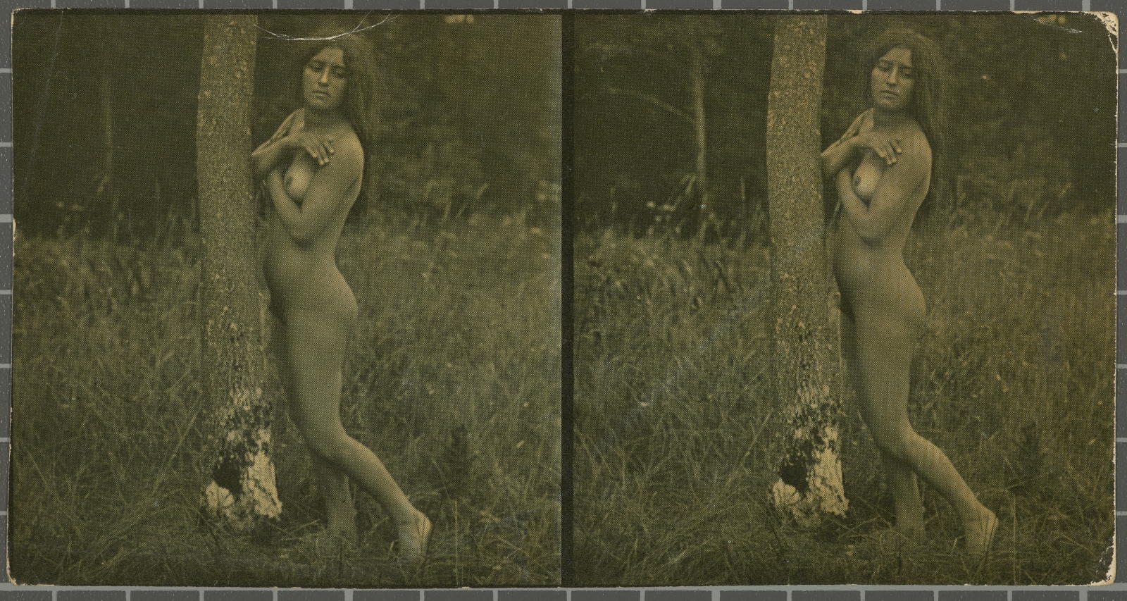 Desconegut, [naked girl and tree]