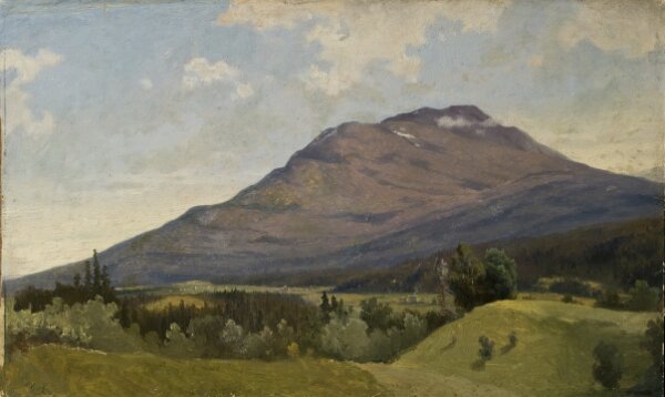 Gustaf Wilhelm Palm, Sommarlandskap med fjäll