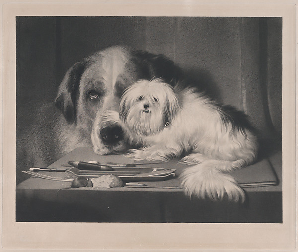Sir Edwin Henry Landseer, The Lion-Dog of Malta—The Last of His Tribe
