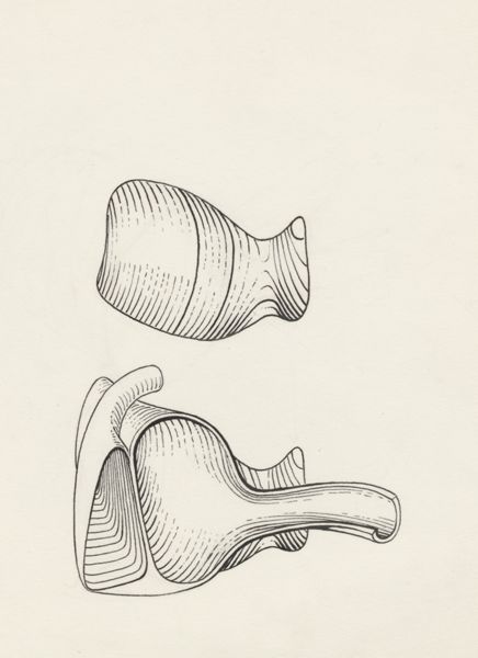 J Tinkelenberg, Sensory organs on an embryo
