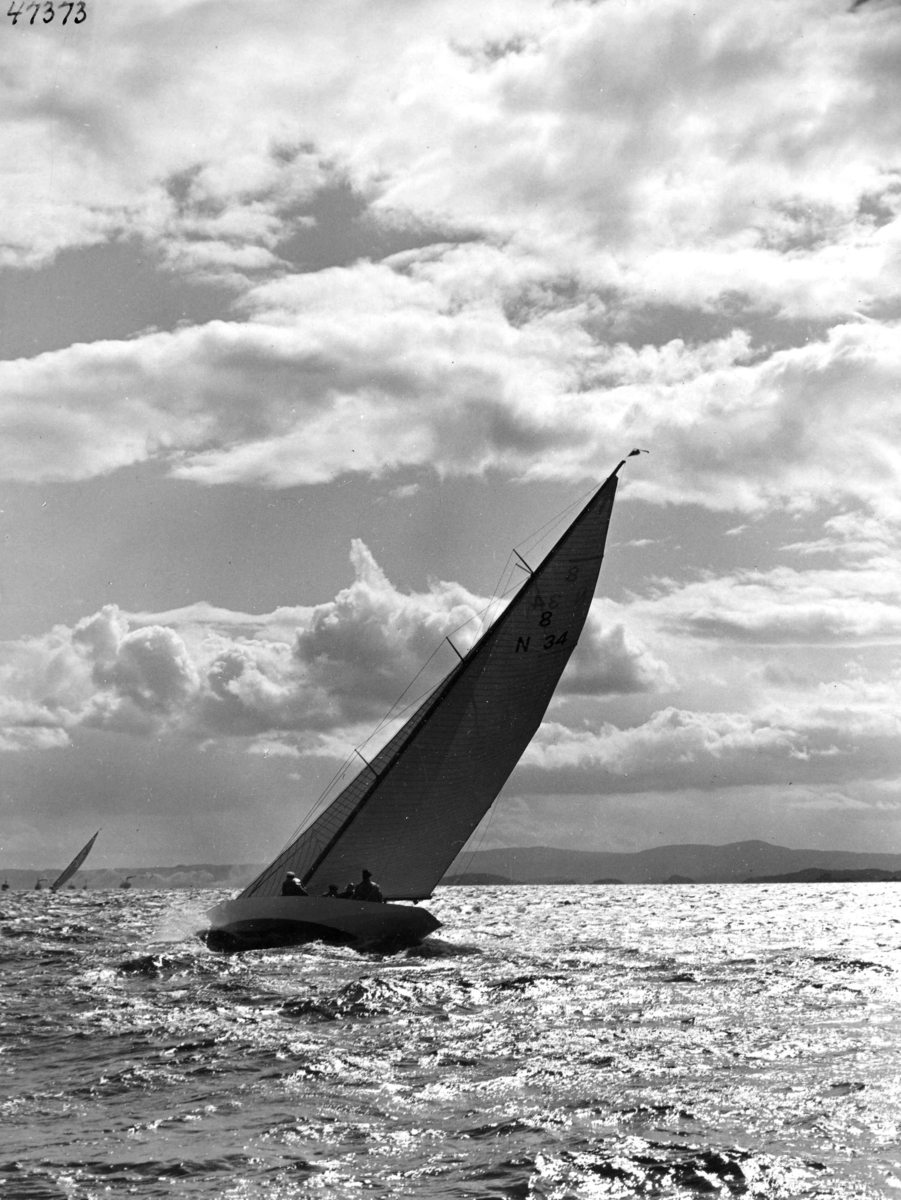 Anders Beer Wilse, Seilsport