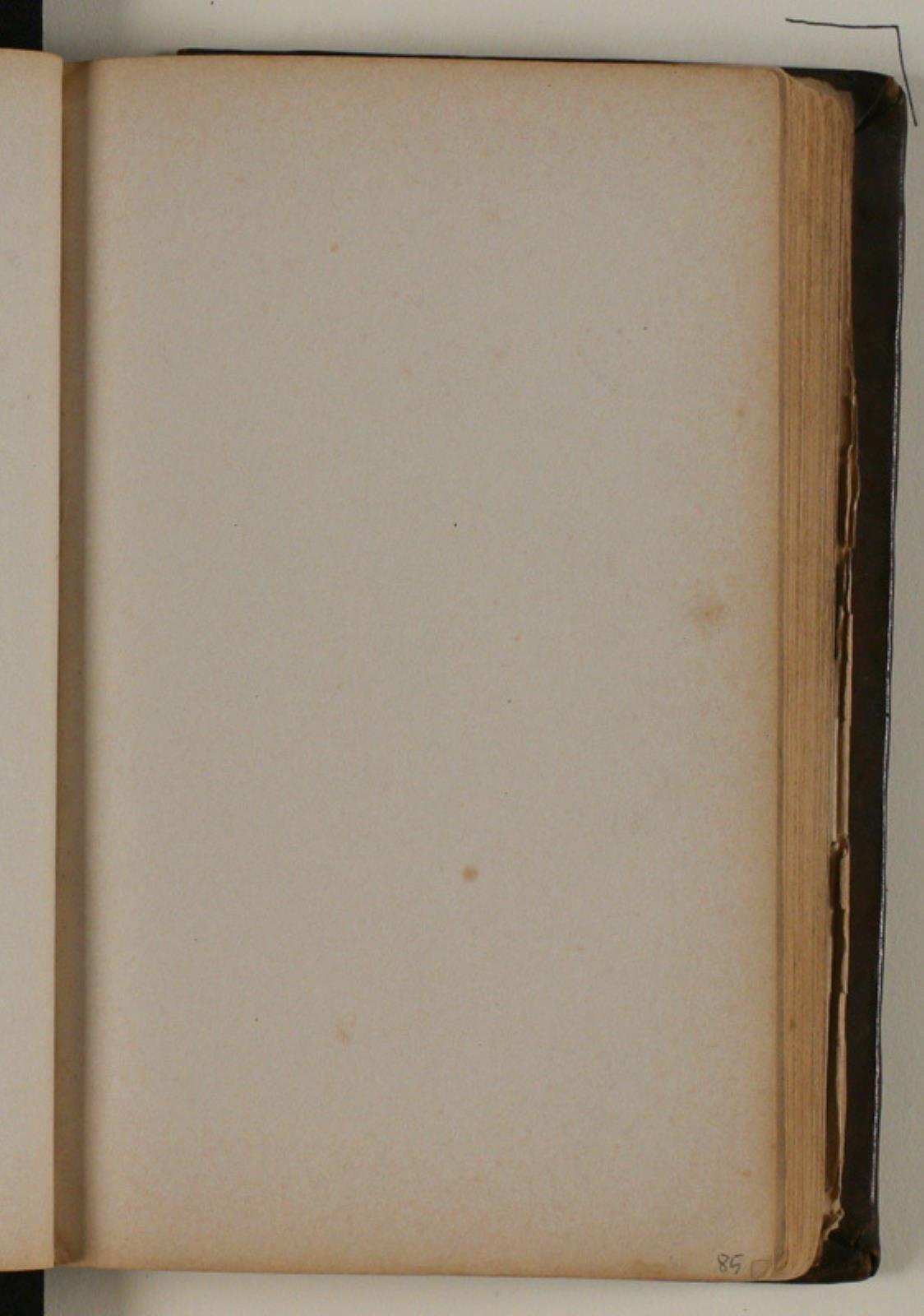 Niels Larsen Stevns, blank