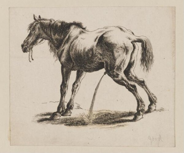 Unknown, Print