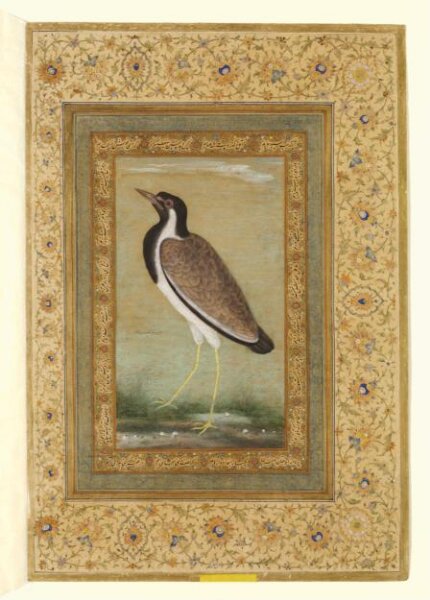 Unknown, Painting