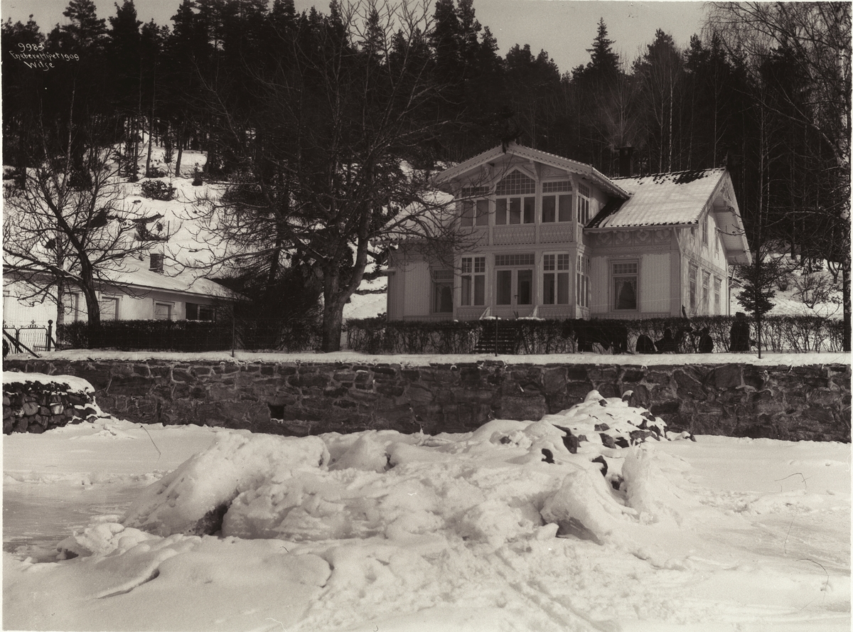 Anders Beer Wilse, Prot: Roald Amundsen - Villa fra sjøen 7/3 1909