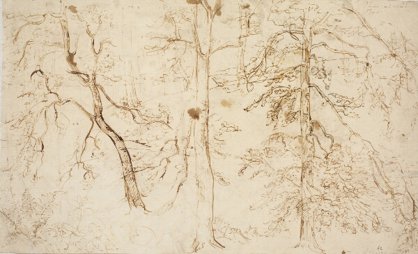 Dankvart Dreyer, Skovinteriør