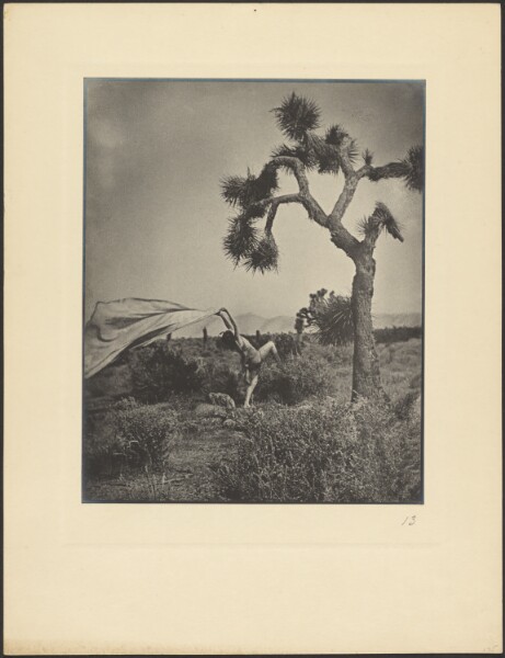 Louis Fleckenstein, The Desert Wind