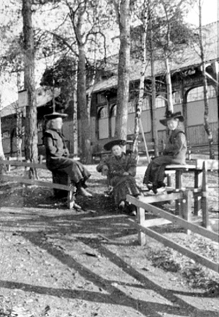Anno Domkirkeodden, GRUPPE 3 DAMER I HAMAR PARK, PAVILJONGEN, SENERE DANSERESTAURANT