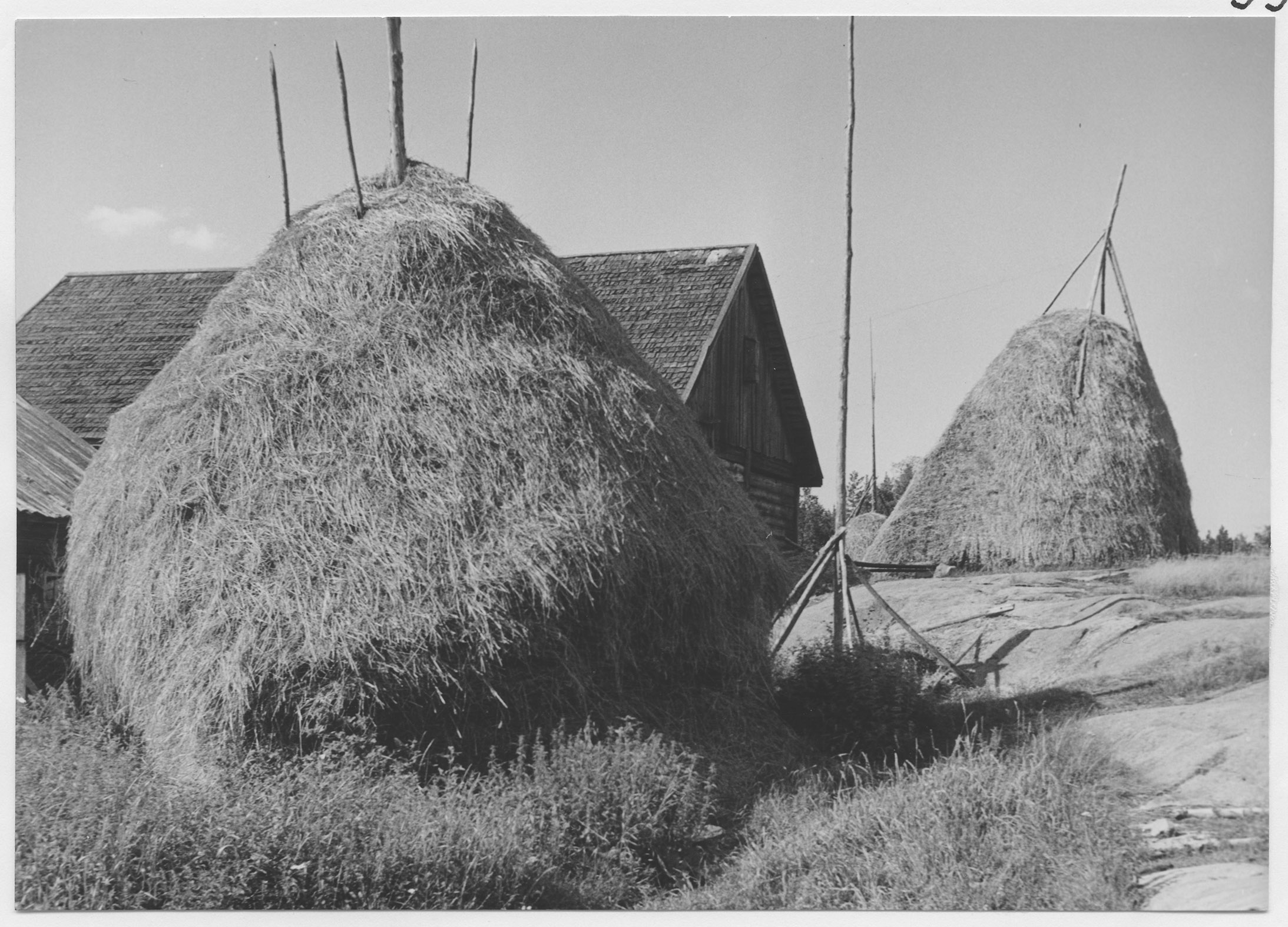 Mårten Sjöbeck, Vissböle