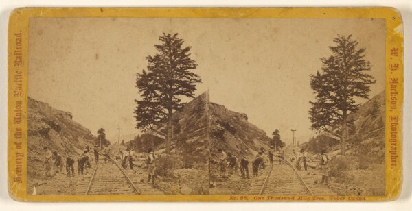 William Henry Jackson, One Thousand Mile Tree, Weber Canon