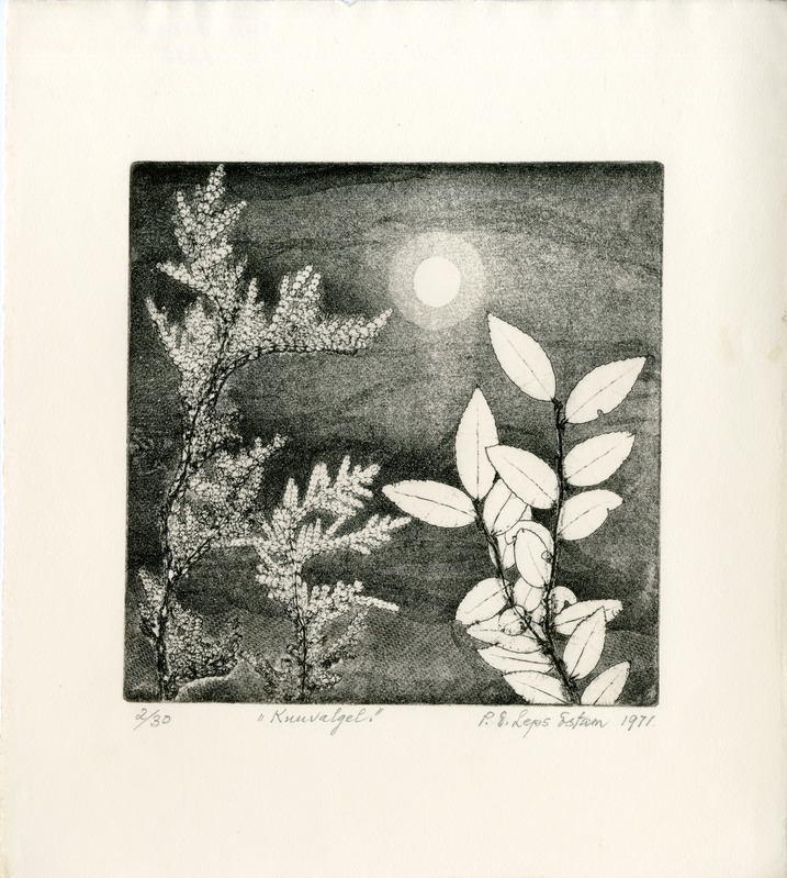 Pauline Elfriede (autor) Leps-Estam, Kuuvalgel / By Moonlight