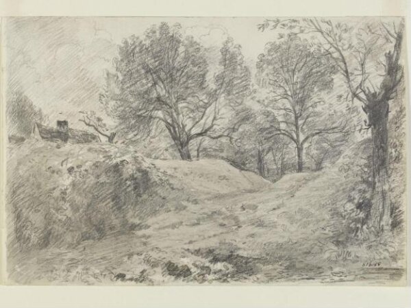 Constable, John (RA), A group of trees on broken ground.