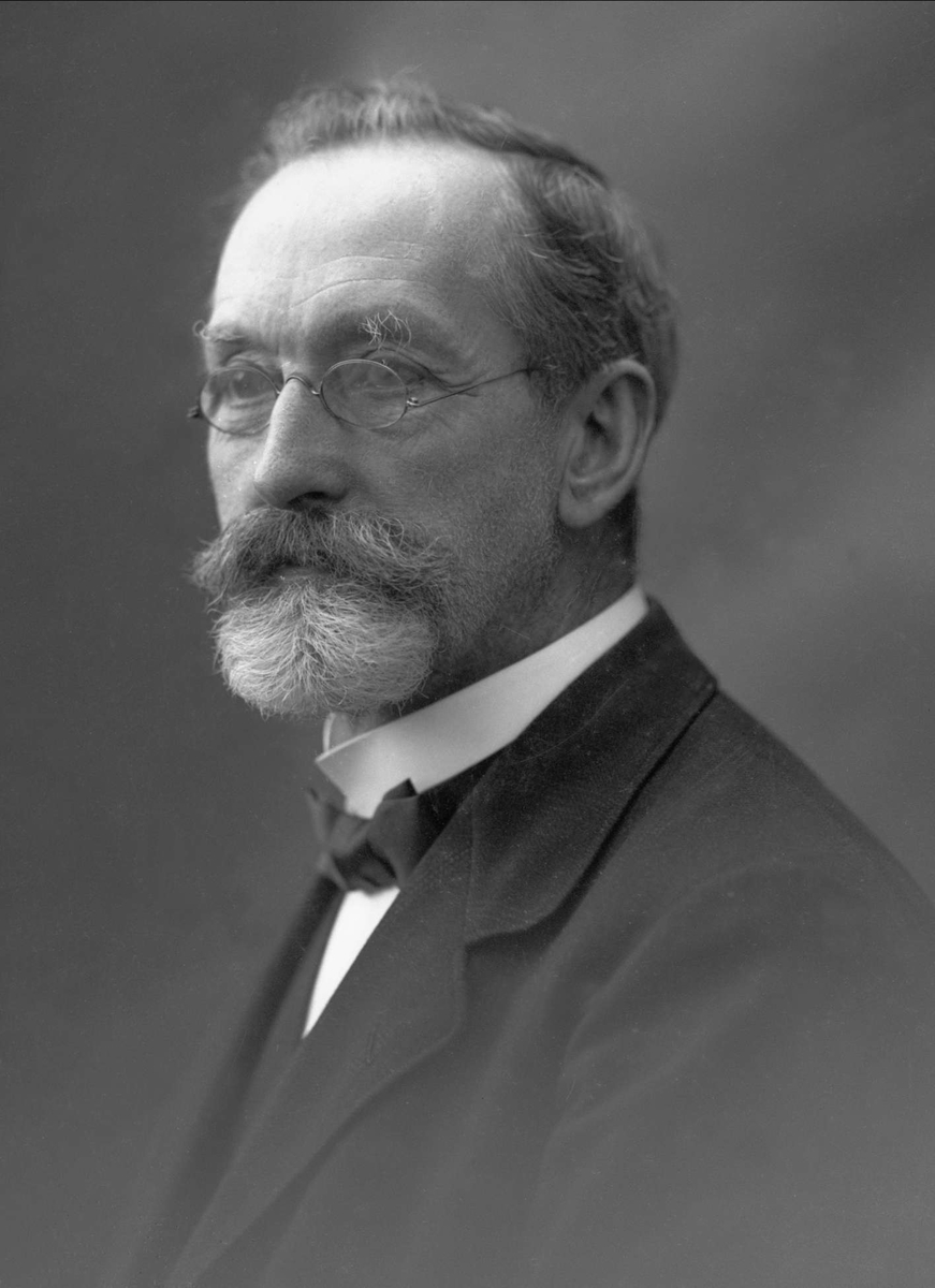 Gustav Borgen, Portrett, mann med skjegg og briller. Kjøpmann/grosserer Henriksen.