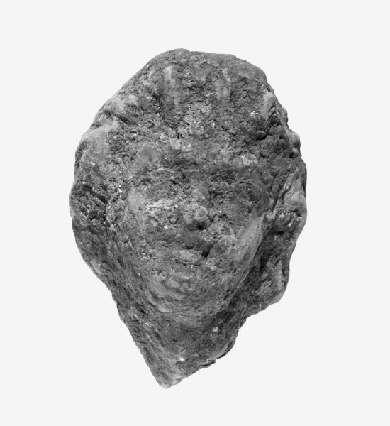 Unknown, Head of a Boy(?)