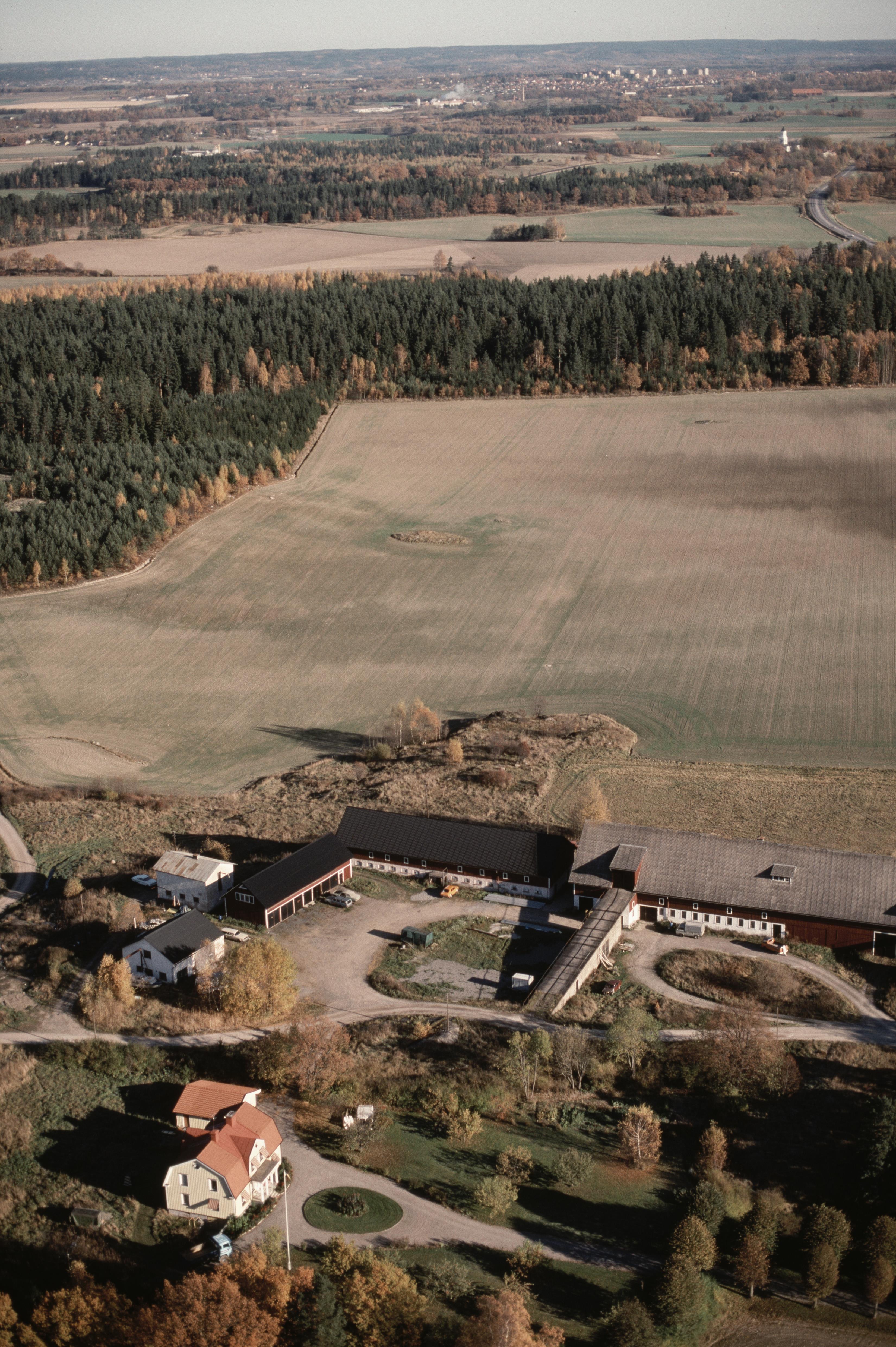 Jan Norrman, Borg 289:1