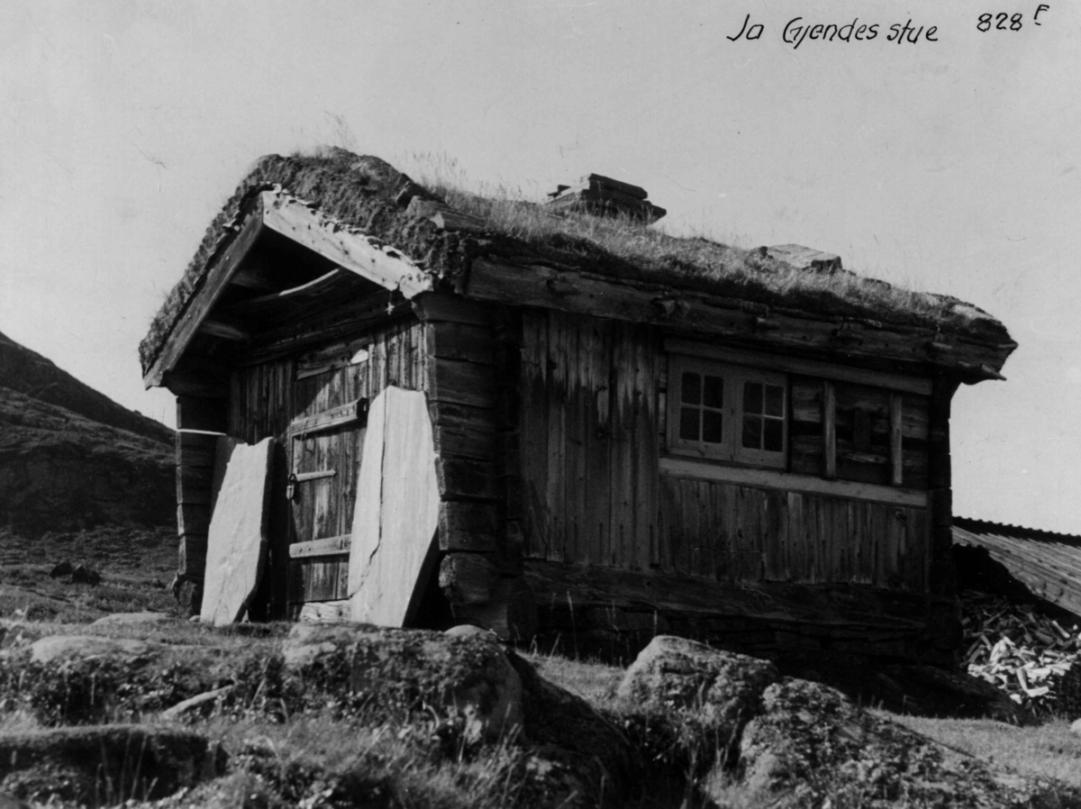 Anders Beer Wilse, Jo Gjendesstue, Gjendeoset