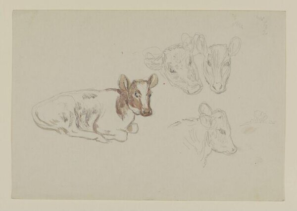 Potter, Beatrix, Drawing