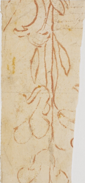 Lambert van Haven, Planteornament (fragment)
