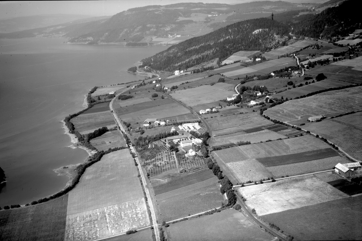 Anno Domkirkeodden, Flyfoto av Vea Hagebruksskole, Ring. Nå Norges grønne fagskole, Vea.