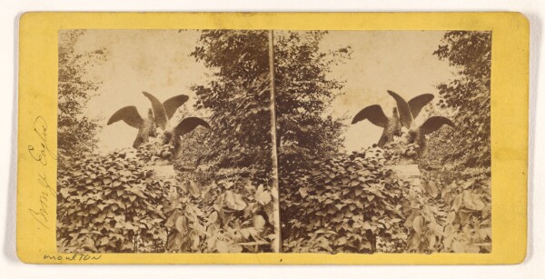 John S. Moulton, [Bronze Eagles] View in Central Park, New York.