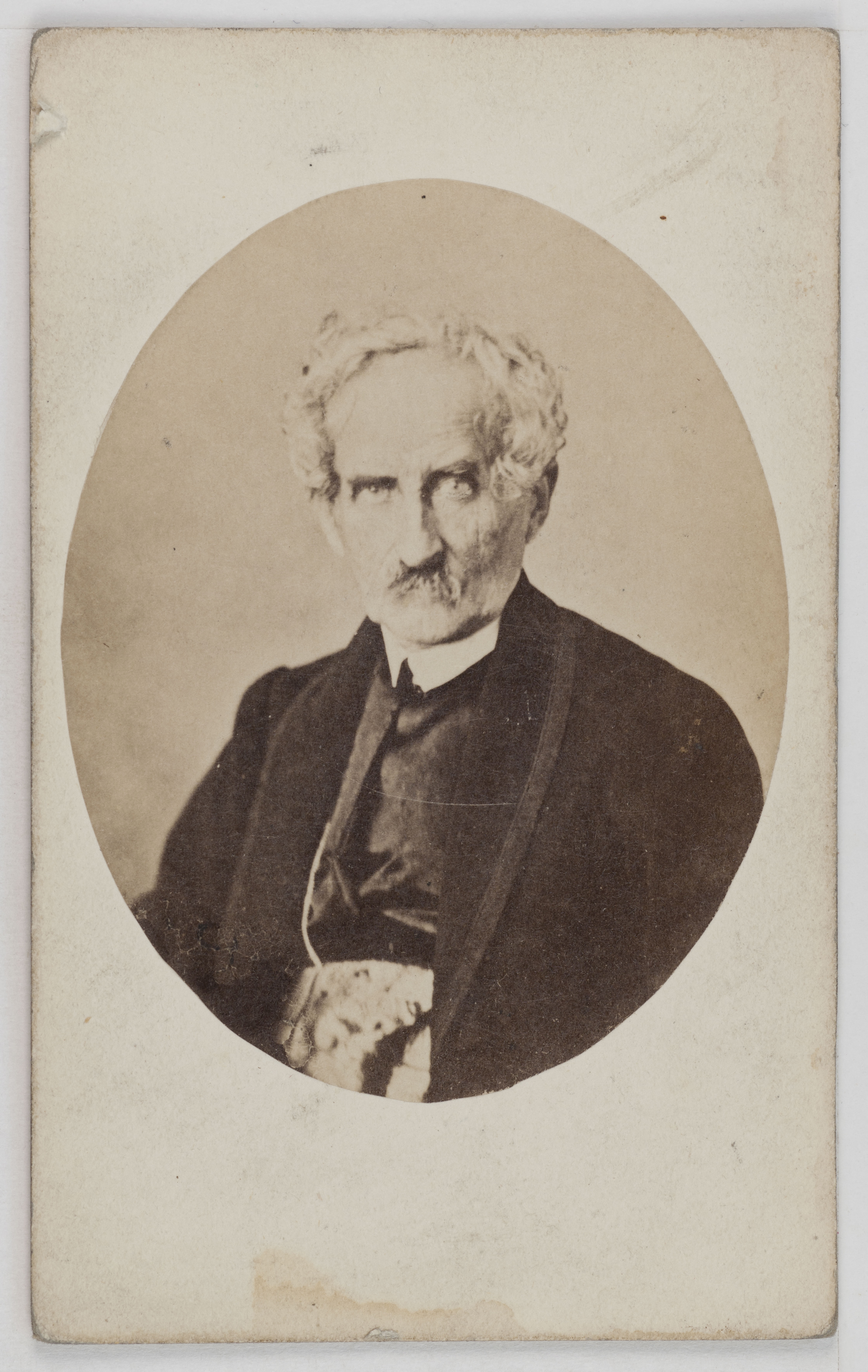 Marie-Alexandre Alophe, Portrait du Comte André Zamoyski (1800-1874), homme politique et agronome.