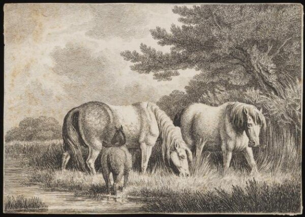 Unknown, Print
