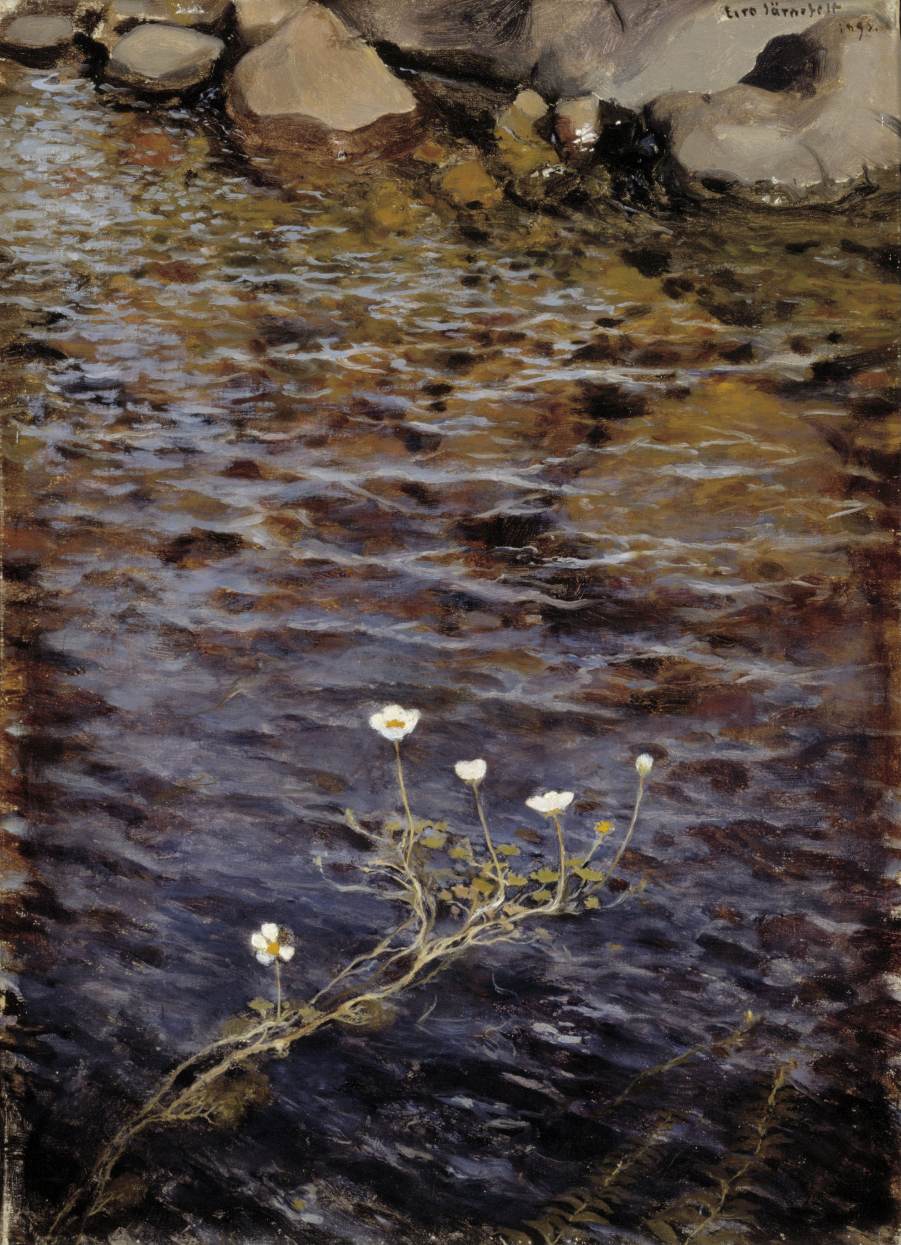 Eero Järnefelt, Pond Water Crowfoot ; Pond Weed