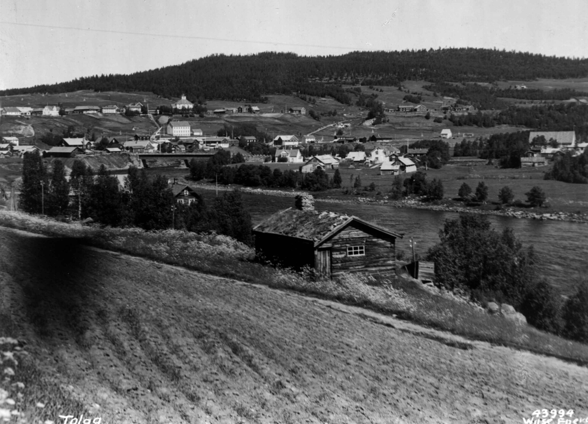 Anders Beer Wilse, Oversiktsbilde