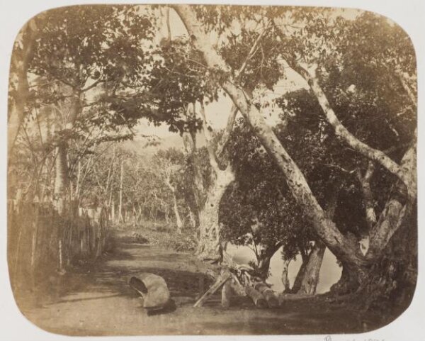 Kerr, Henry, Photograph