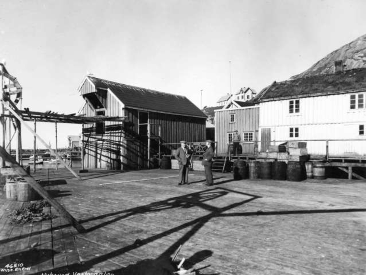 Anders Beer Wilse, -5911