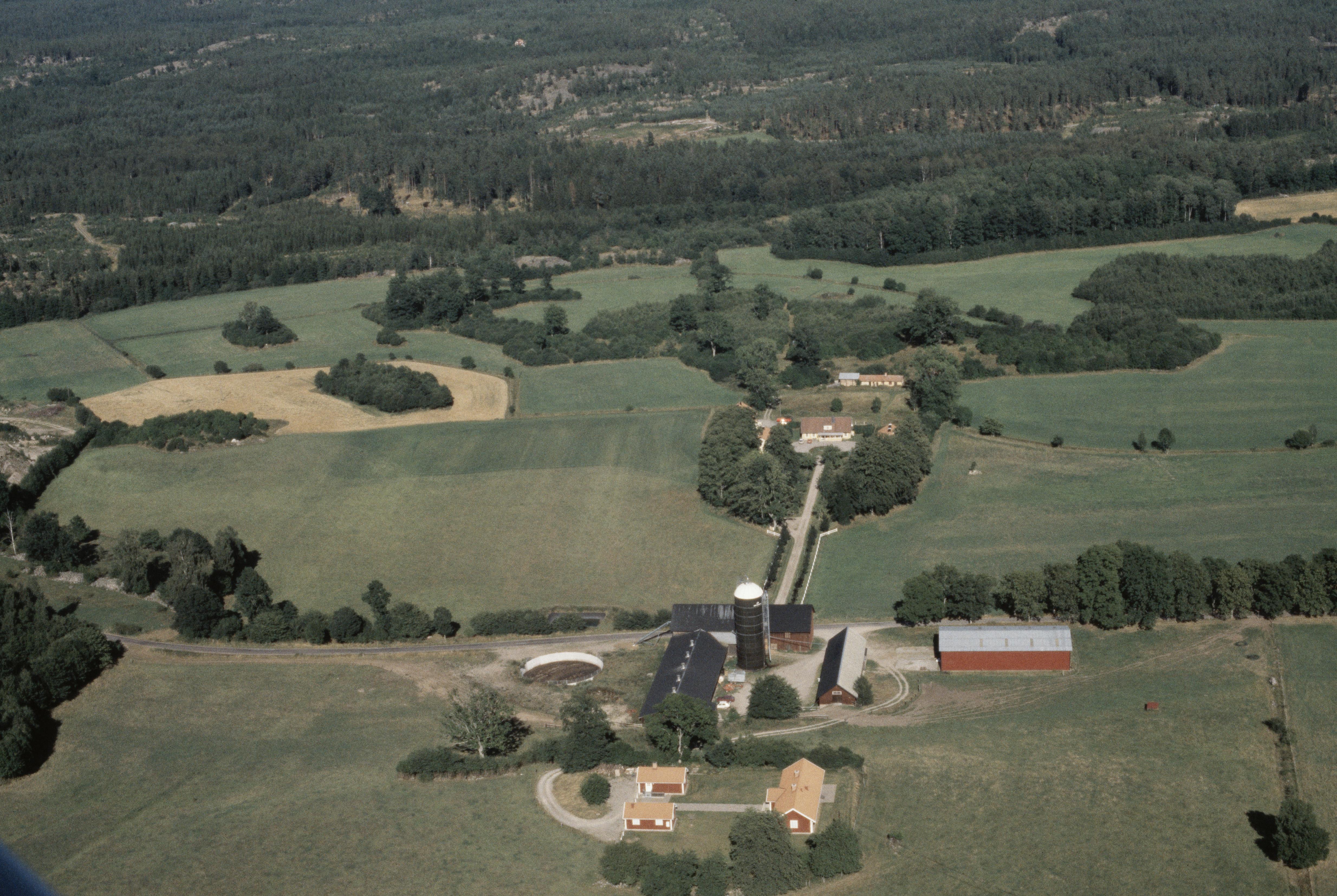 Jan Norrman, Torsfall