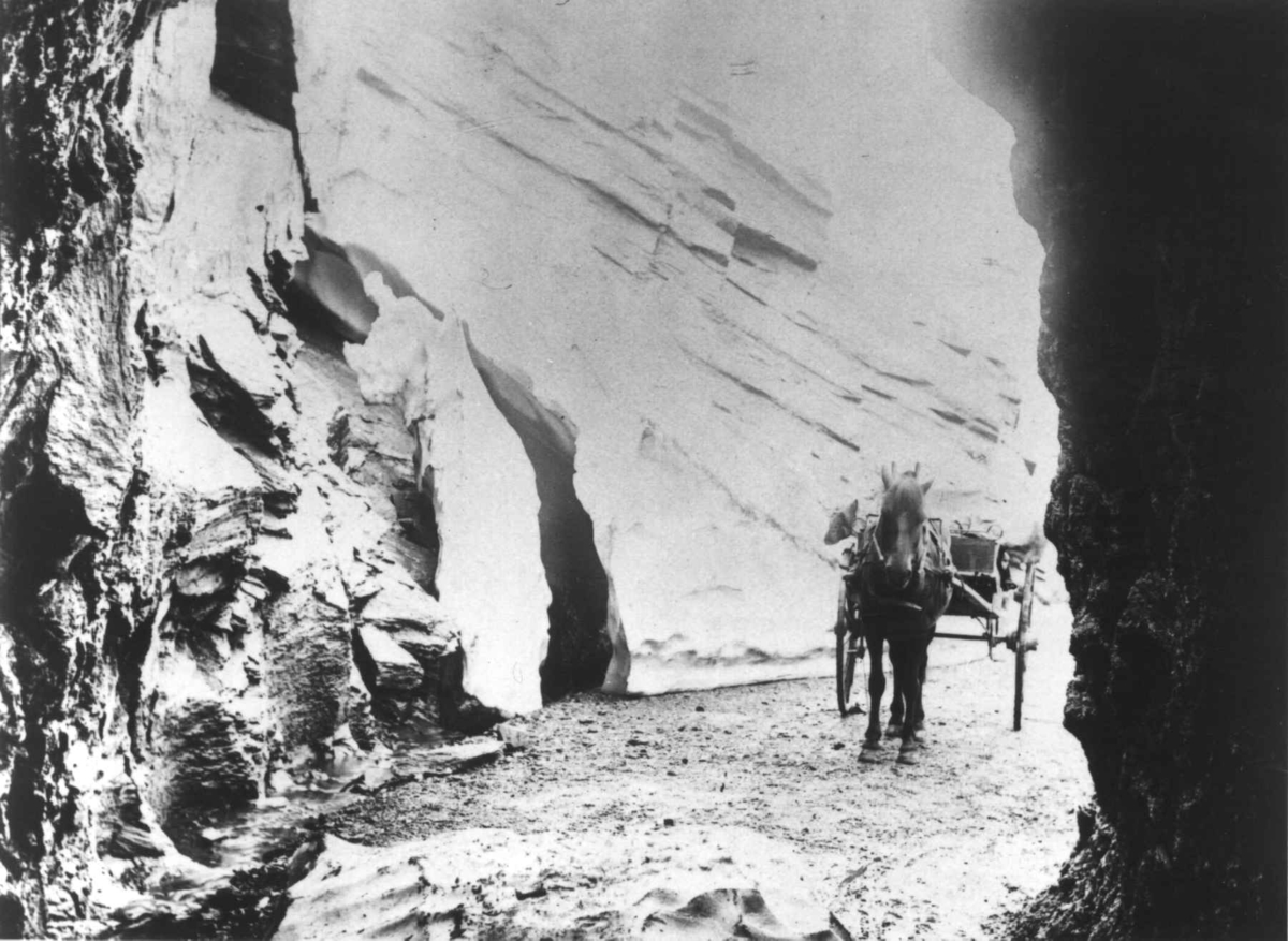 Robert Collett, Veiparti med hest og tohjulet hestekjøretøy, gigg eller reisekjerre, ukjent sted. ca. 1900. Serie fotografert av Robert Collett (1842-1913), amatørfotograf og professor i zoologi.