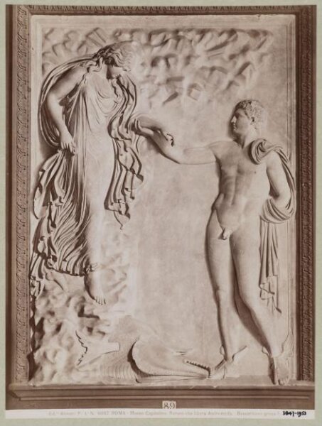 Fratelli Alinari, Photograph