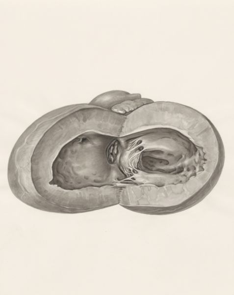 H.G Wetselaar, Heart