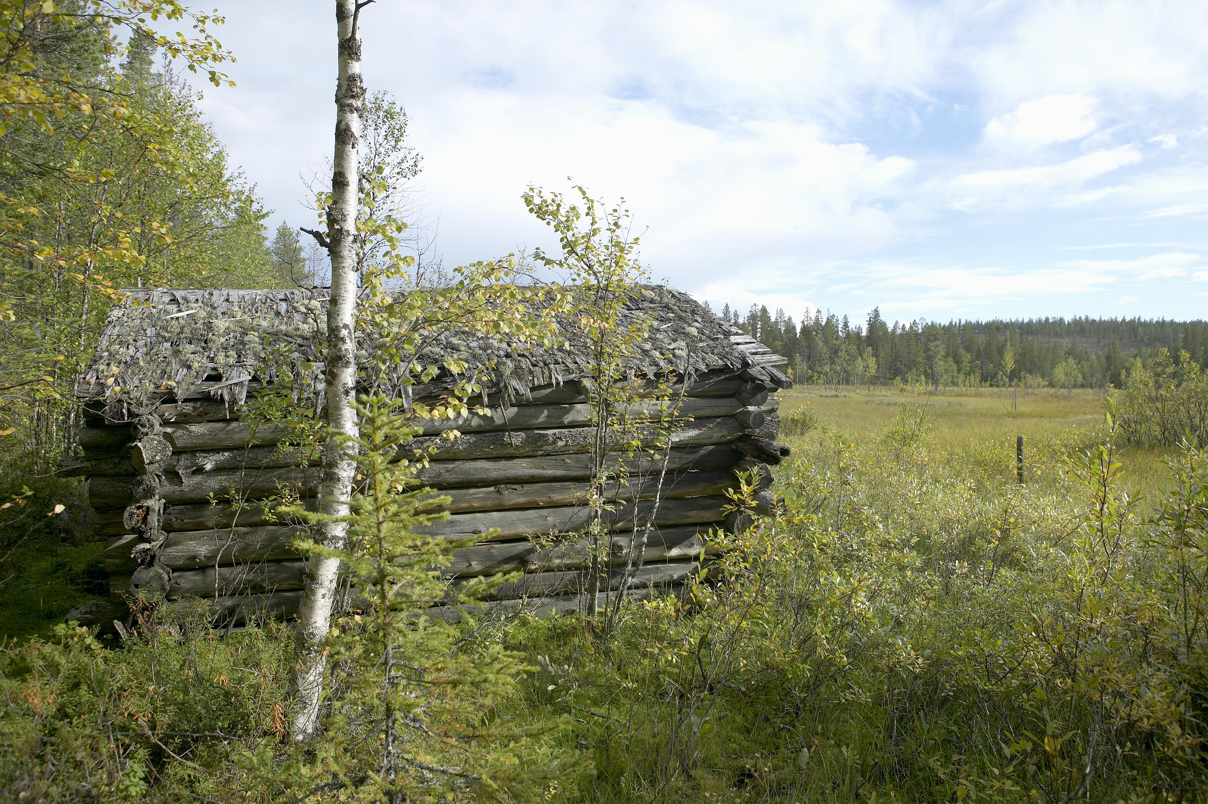 Bengt A Lundberg, Kaltisbäcken