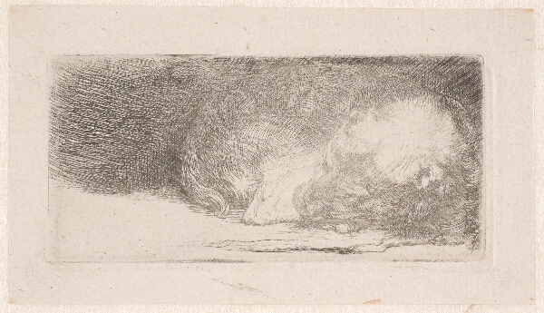 Rembrandt van Rijn, Sovende hundehvalp (lille plade)