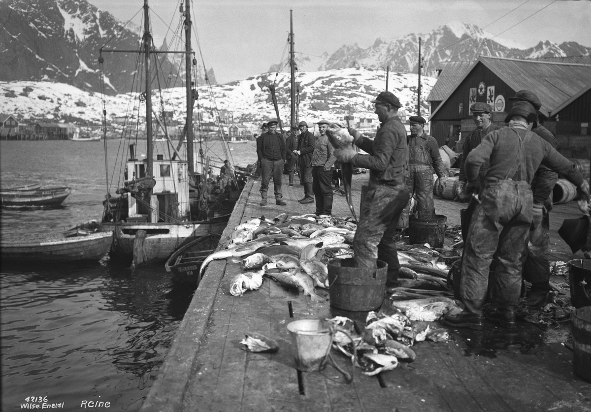 Anders Beer Wilse, Prot: Lofoten, Reine fisk paa brygga