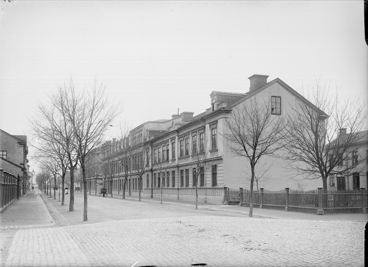 Alfred Dahlgren, Storgatan - St PersSt, Kvarngärdet, Uppsala 1901 - 1902