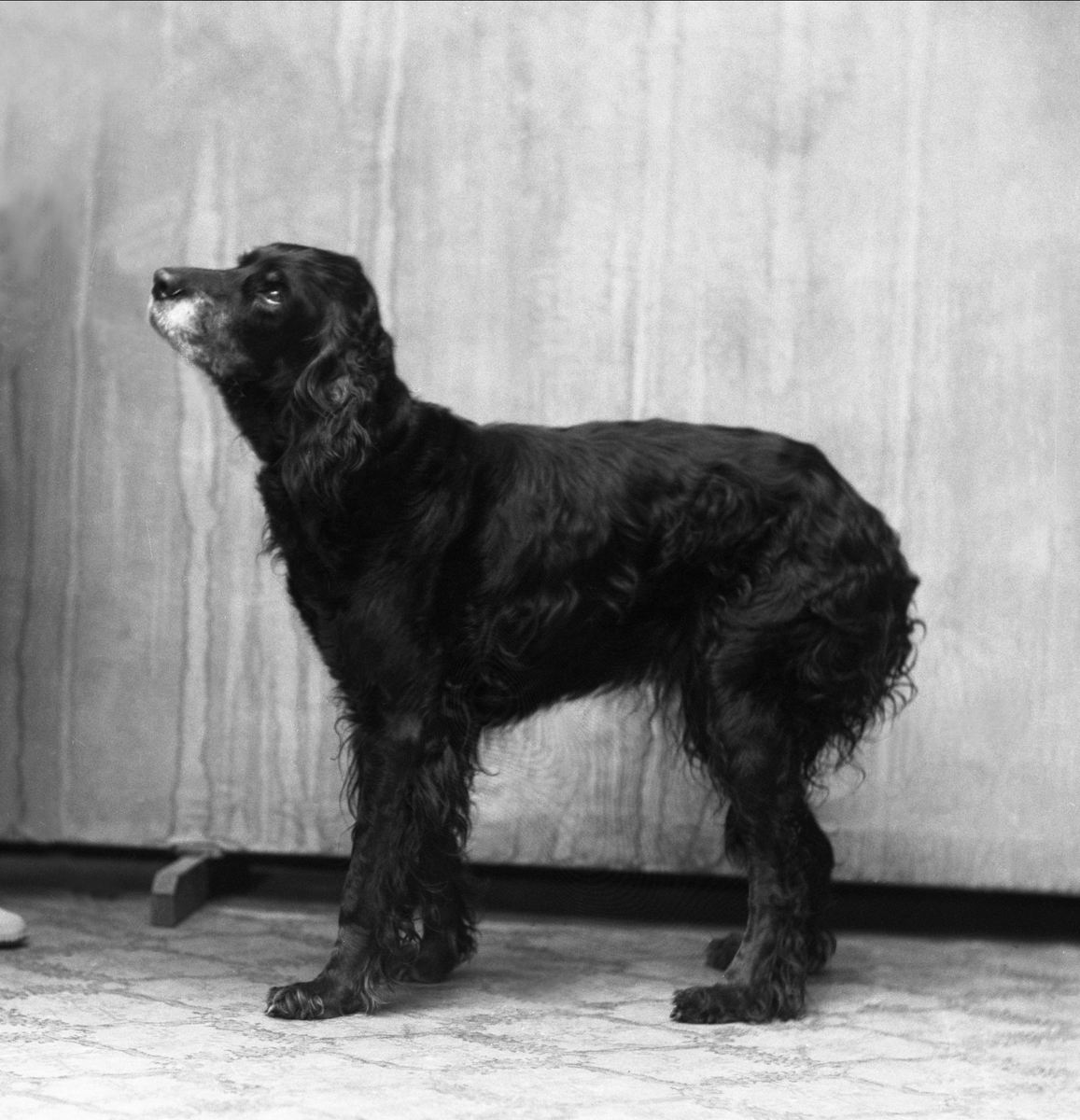 Gustav Borgen, NFB.56153