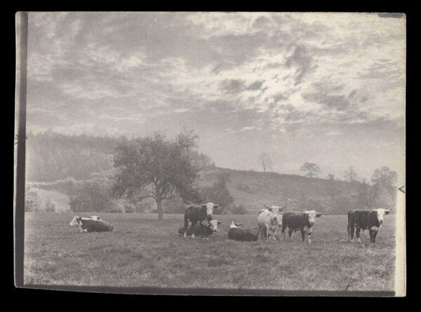 Gale, Lt. Col. Joseph, Rural Life