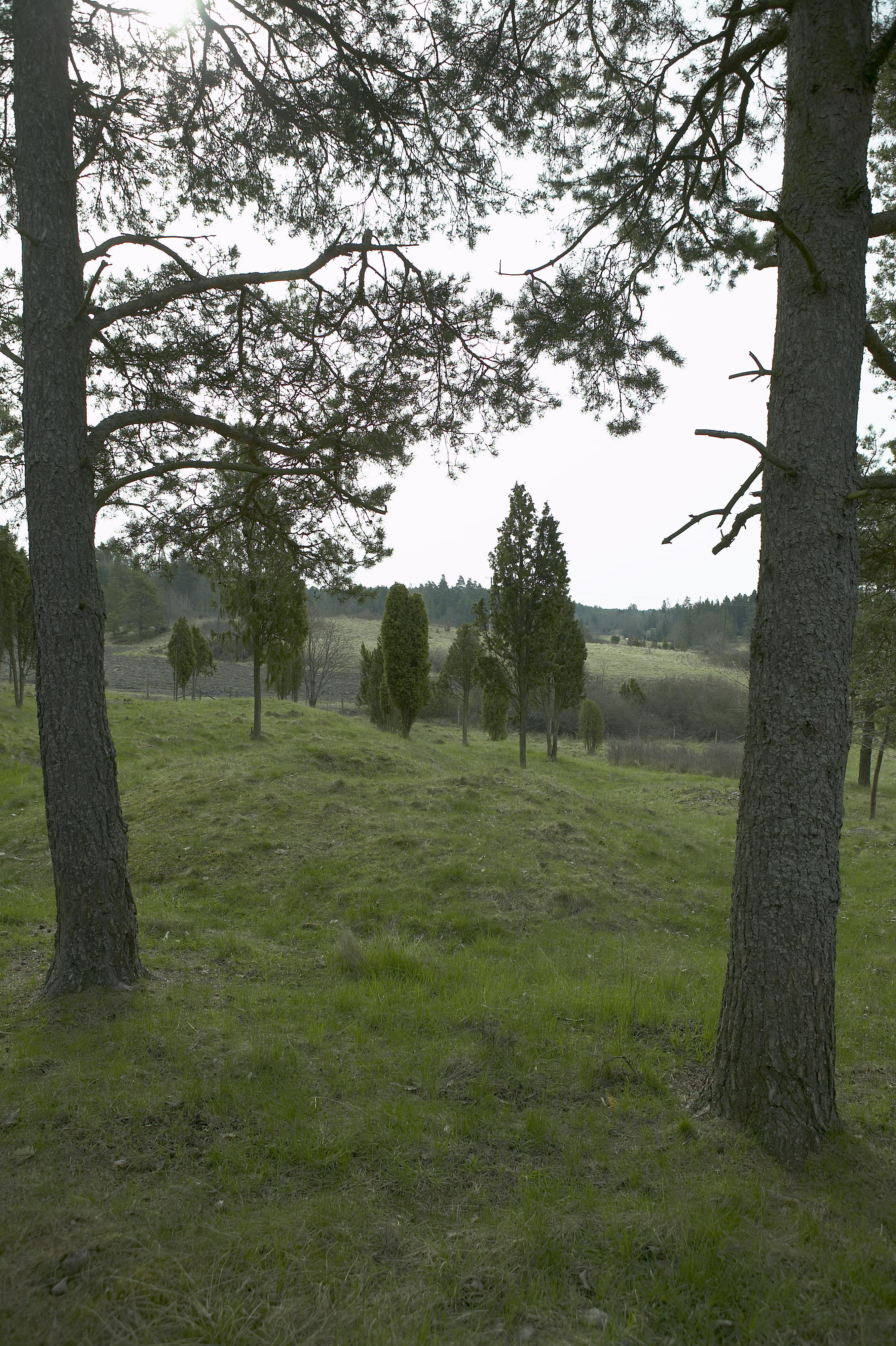 Bengt A Lundberg, Berga järnåldersgrav