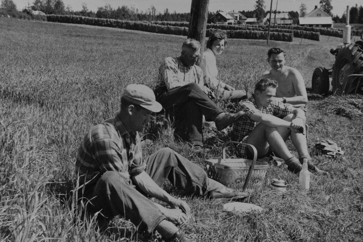 Anno Domkirkeodden, SLÅTTONN, HØYONN, NON, MATPAUSE, GRUPPE: 5 SPISER MAT FRA NISTEKURV, VESTGÅRD, VESTGAARD