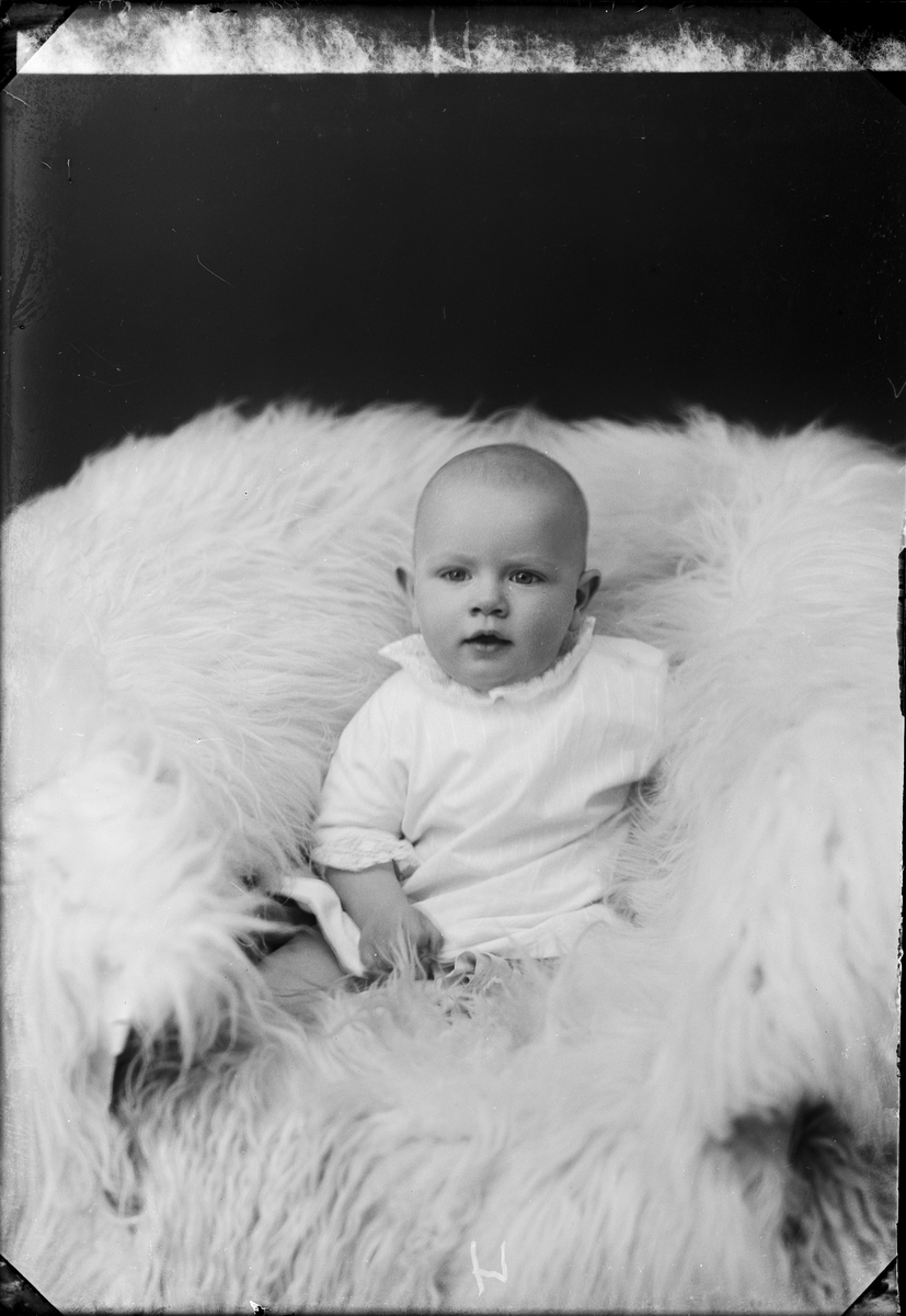 Skötsner-Edhlund, Ateljéporträtt - barn till Fredriksson från Söderharg, Harg socken, Uppland 1926
