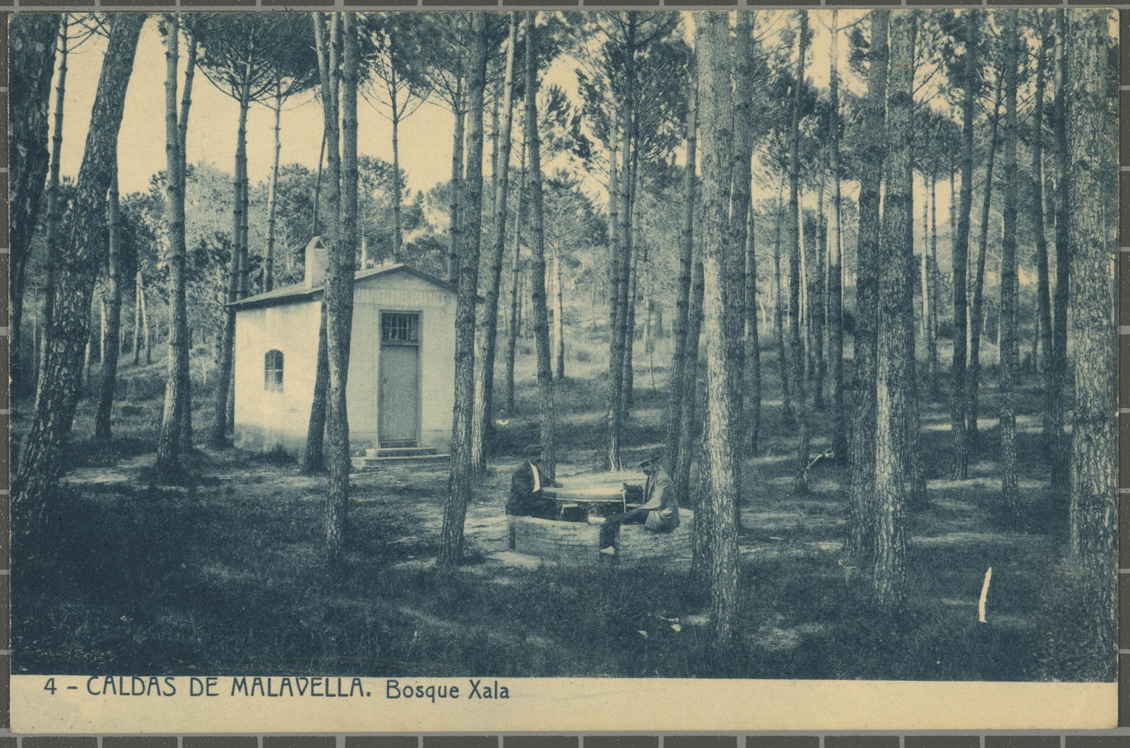 Josep Thomas Bigas, 4 - MALAVELLA CALDAS. Bosque Xala