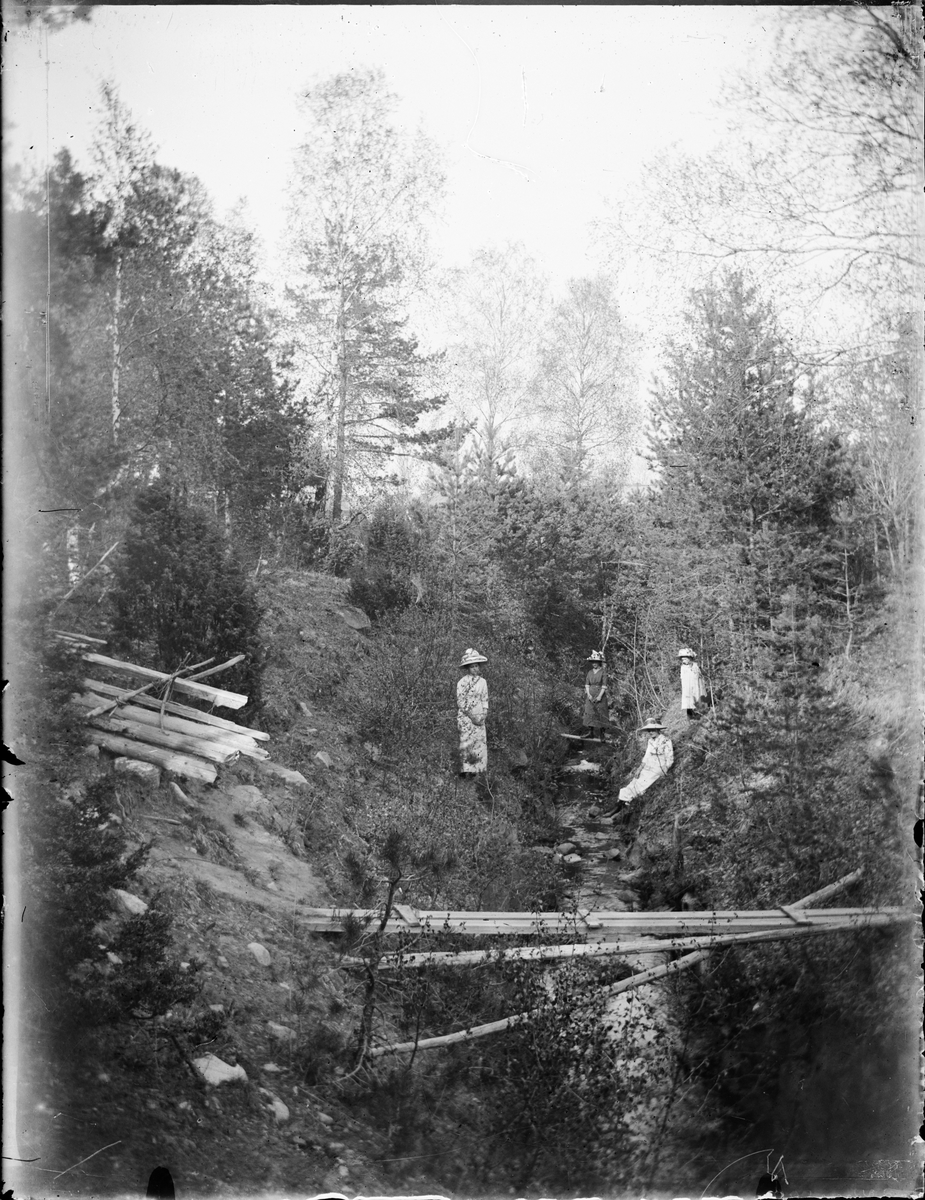 Skötsner-Edhlund, Three women and a girl stand by the creek, Östhammar, Uppland