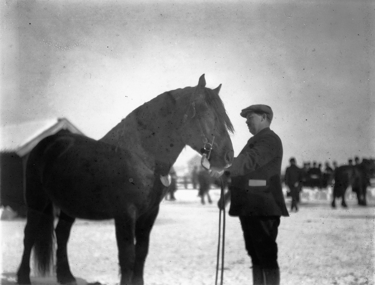 Ragnvald Andersen, Ukjent mann med en hest.