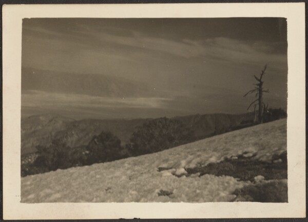 Louis Fleckenstein, [Landscape]